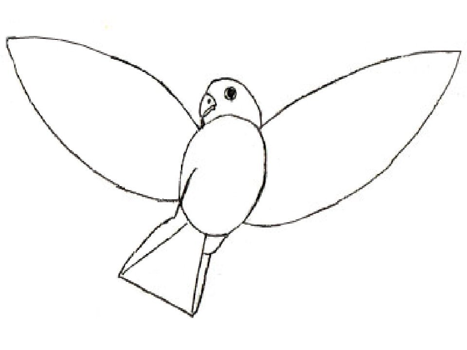 Рисунки птиц для срисовки легкие. Птичка для срисовки. Рисунки птичек для срисовки. Птичка рисунок для детей простой. Рисунки для срисовки птицы легкие.