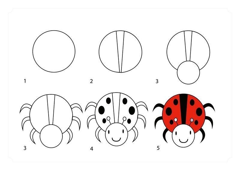 Как рисовать коровку. Схема рисования насекомых для малышей. Схема рисования насекомых для дошкольников. Рисование по этапам для детей. Последовательное рисование для детей.