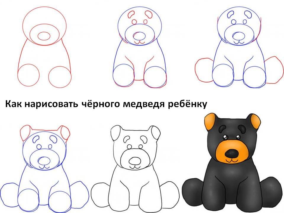 Kak. Поэтапное рисование медведя. Рисуем медведя поэтапно. Поэтапное рисование медведя для детей. Медвежонок поэтапное рисование для детей.