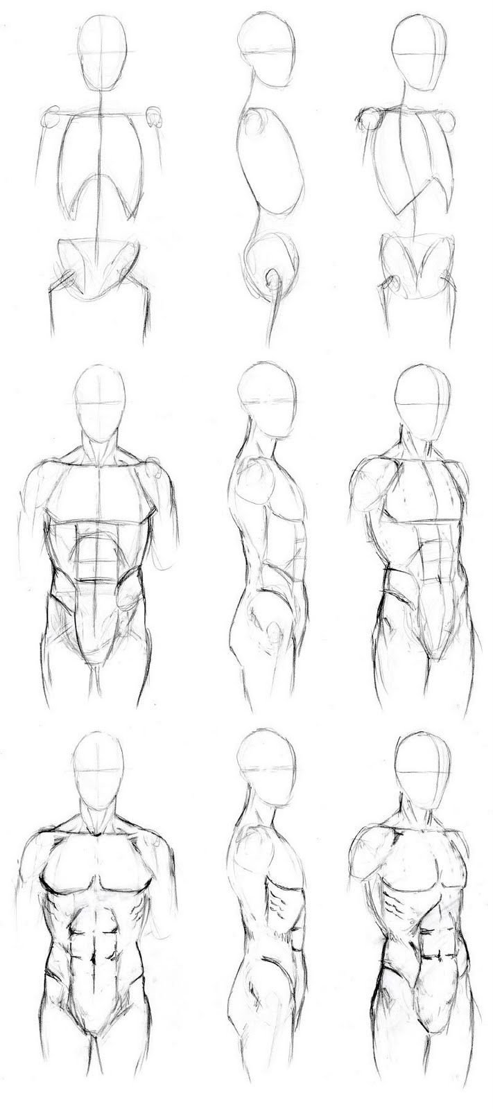 Тела карандашом поэтапно. Анатомия человека для рисования. Тело для рисования. Анатомия тела для рисования. Анатомия человеческого тела для рисования.