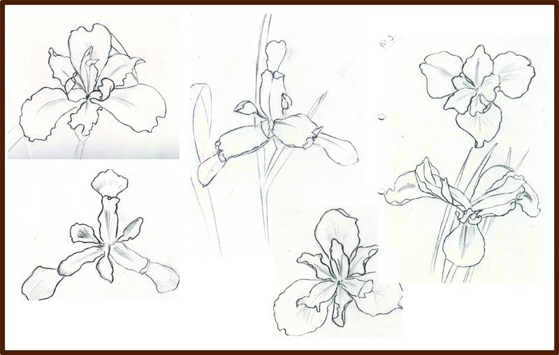 Как нарисовать цветы поэтапно для начинающих
