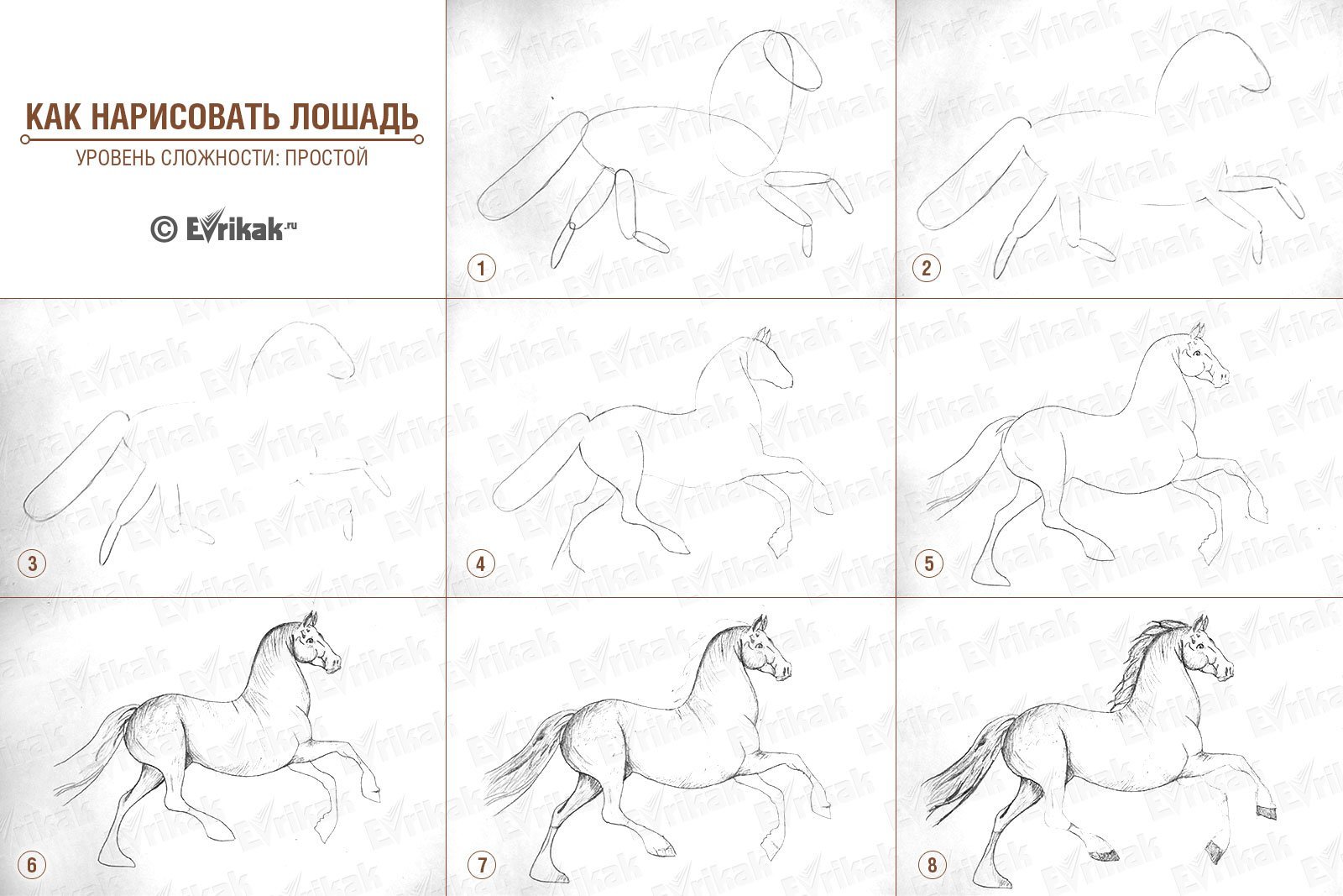 Рисуем лошадь поэтапно. Схема рисования лошади. Поэтапный рисунок коня. Схема рисования лошади для детей. Лошадь рисование карандашом поэтапно.