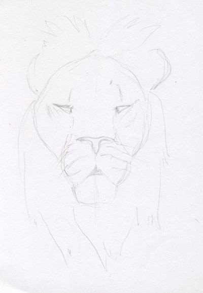 Идеи для срисовки лев простой поэтапно (90 фото)