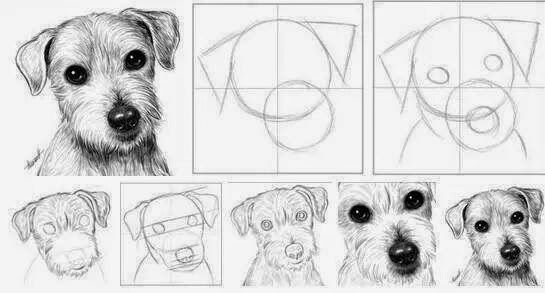 Идеи для срисовки красивый собаки карандашом поэтапно (90 фото)