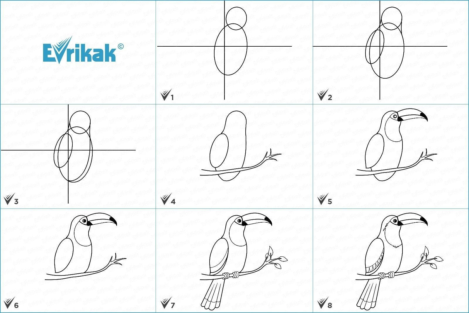 Рисунок птицы 5 класс. Поэтапное рисование птиц. Схема рисования птицы. Рисование птицы пошагово. Поэтапное рисование птиц для детей.