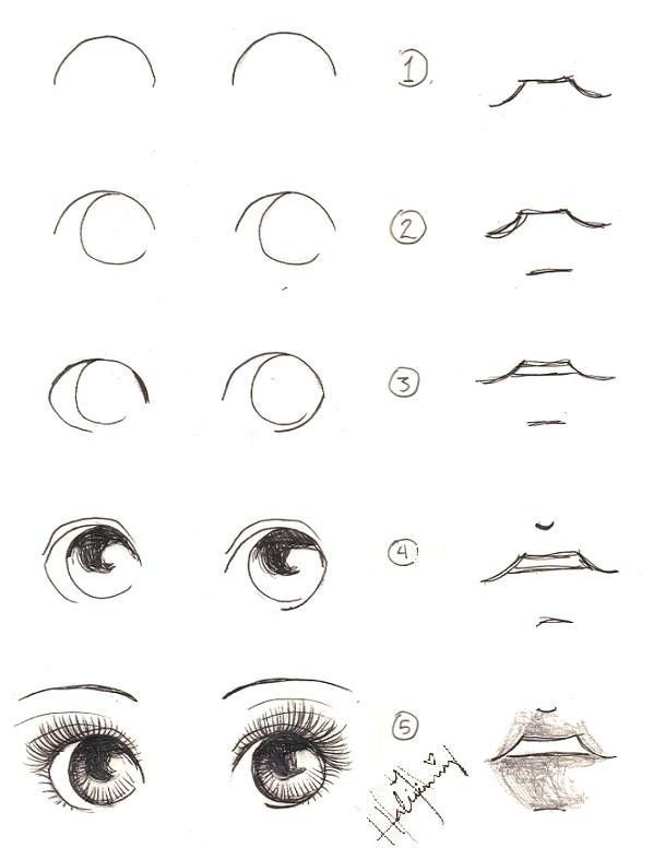 Как красиво нарисовать глаз для начинающих. Глаза карандашом для начинающих. Этапы рисования глаз.