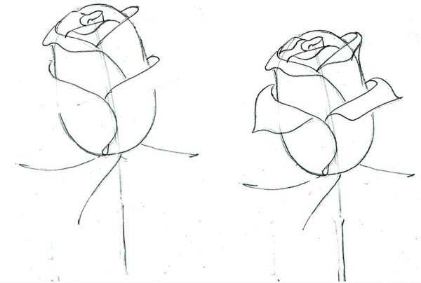 Рисунки букеты розы карандашом для начинающих