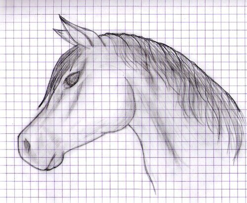 Лошадь по клеточкам в тетради карандашом