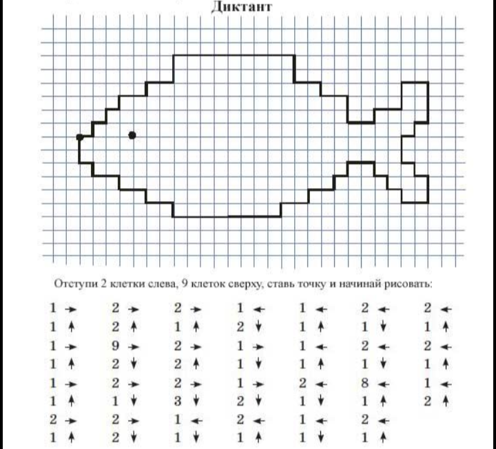 Схемы графического диктанта для дошкольников. Математический диктант для дошкольников 6-7. Графический диктант для дошкольников 6-7 лет по клеточкам рыба. Графический диктант кит по клеточкам для дошкольников.