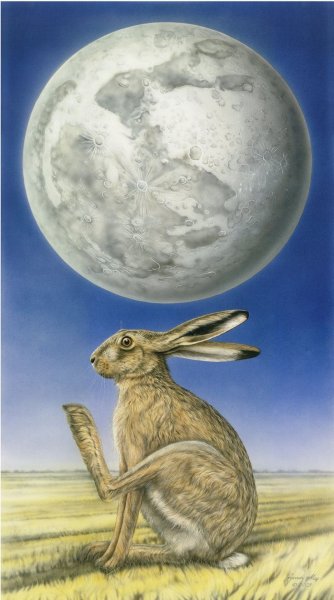 Лунный кролик арт (69 фото)