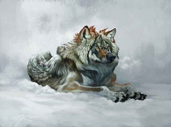 Арт зимний волк (70 фото)