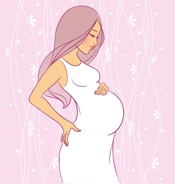 13-16 недели беременности