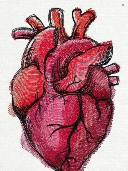 Идеи для срисовки сердце (89 фото)