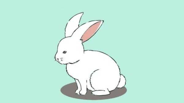 Идеи для срисовки кролик (90 фото)