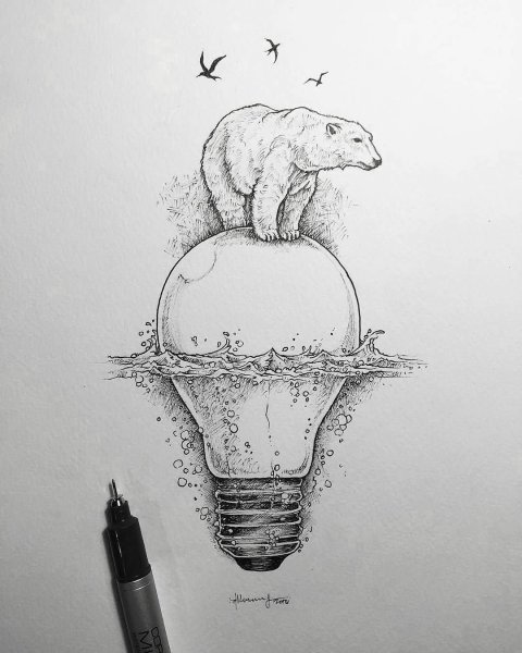 Идеи для срисовки белый медведь (90 фото)