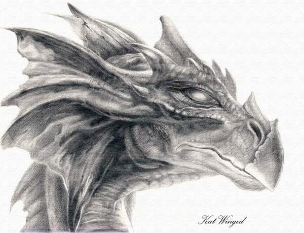 Идеи для срисовки голова дракона (90 фото)