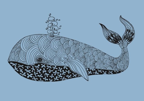 Идеи для срисовки кит синий (90 фото)