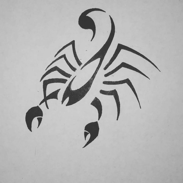 Идеи для срисовки скорпион (89 фото)