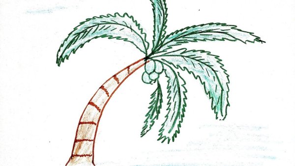 Идеи для срисовки три пальмы (90 фото)
