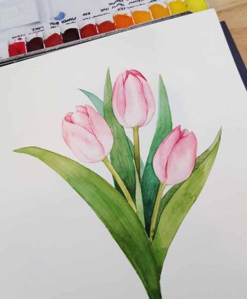 Идеи для срисовки тюльпан (90 фото)