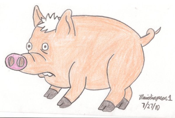 Идеи для срисовки свинья (90 фото)