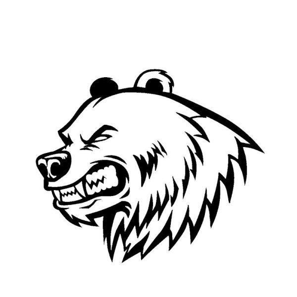 Идеи для срисовки голова медведя (88 фото)