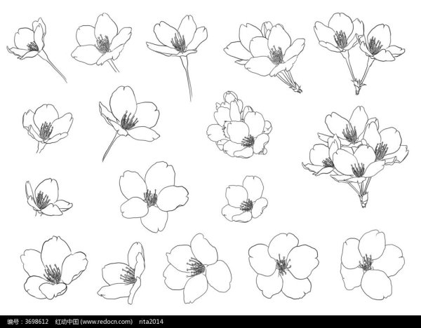 Идеи для срисовки цветочек (90 фото)