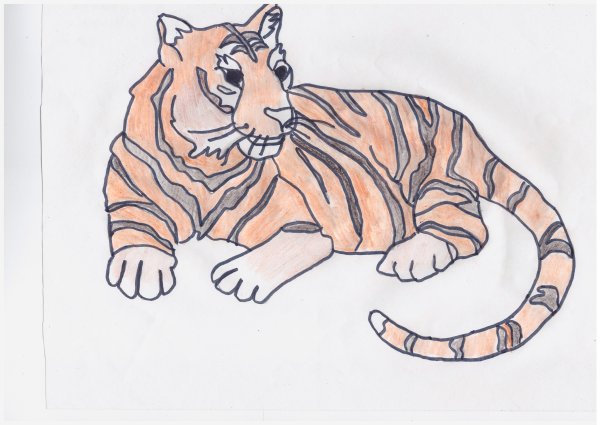 Идеи для срисовки амурский тигр (89 фото)