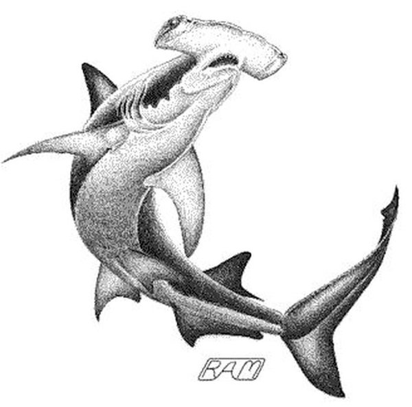 Значение татуировки акула-молот