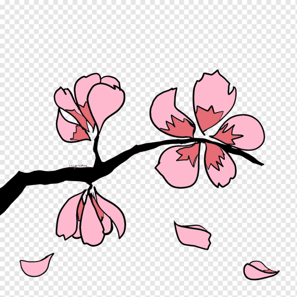 Идеи для срисовки цветок сакуры (90 фото)