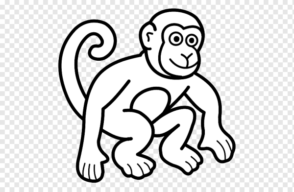 Идеи для срисовки обезьянка (90 фото)