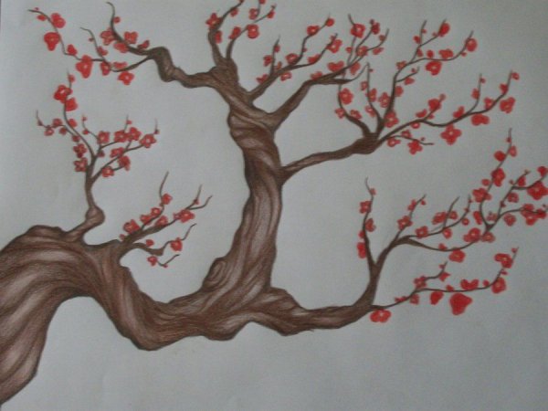 Идеи для срисовки сакура дерево (90 фото)