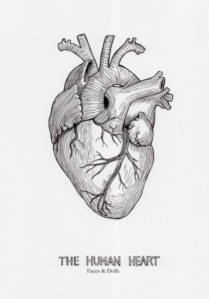 Идеи для срисовки сердце настоящее (90 фото)