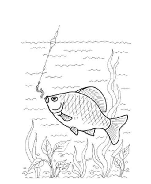 Раскраски и Рисунки золотой рыбки для рисования
