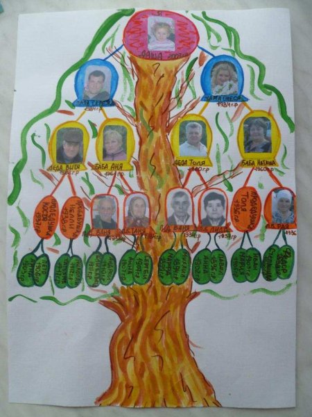 Как нарисовать семейное дерево - интересные мастер-классы для детей и взрослых