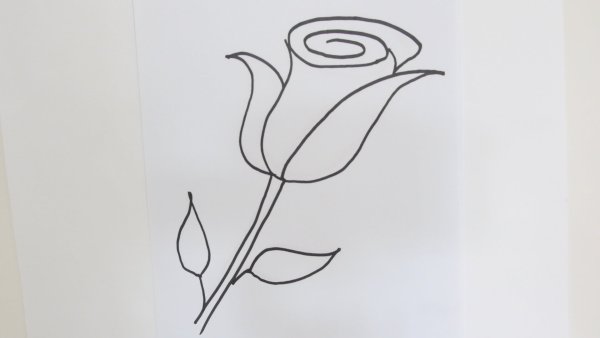Идеи для срисовки розы бутон (90 фото)