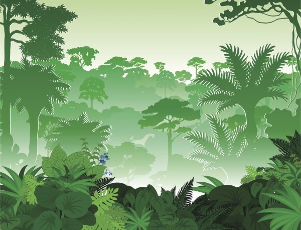 Идеи для срисовки тропический лес (89 фото)