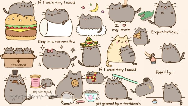 Идеи для срисовки жирный кот (90 фото)