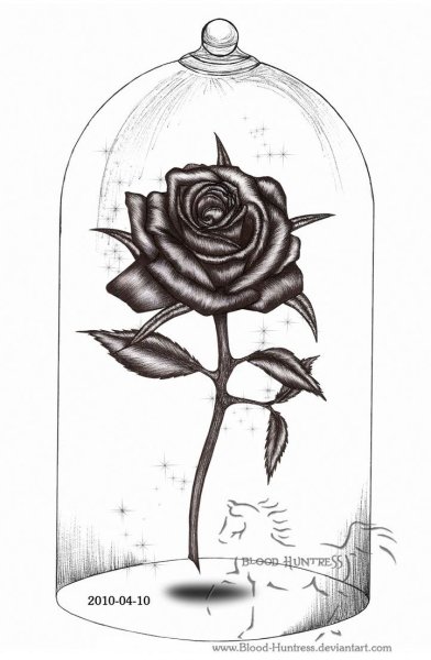 Идеи для срисовки черная роза (90 фото)