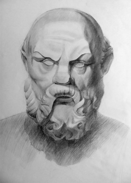 Иллюстрация Голова Сократа в стиле академический рисунок, графика,