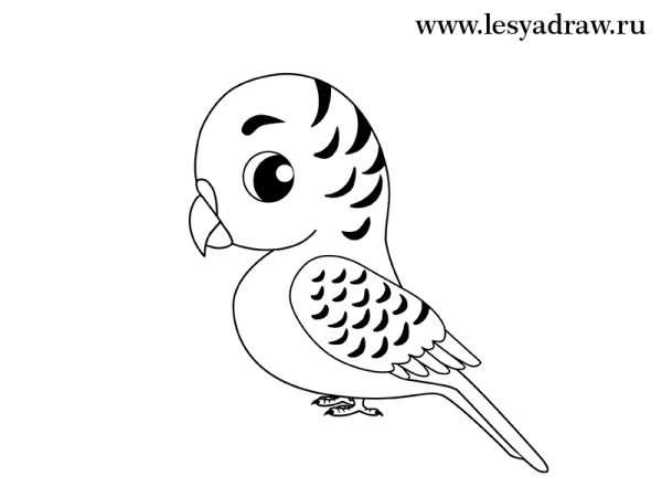 Идеи для срисовки кеша попугай (90 фото)