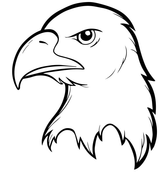 Идеи для срисовки орел птица (90 фото)
