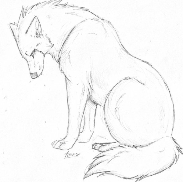 Идеи для срисовки сидит волк (90 фото)