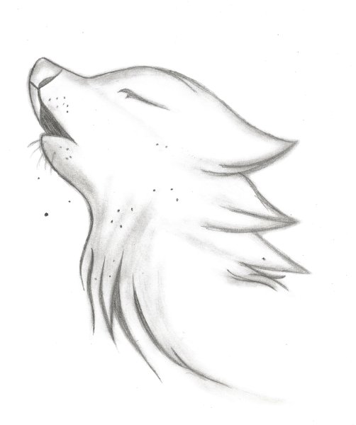 Рисунки волка для срисовки карандашом (50 картинок) ✏