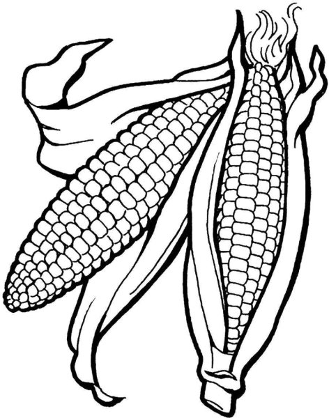 Узор кукуруза №5082 » Люблю Вязать