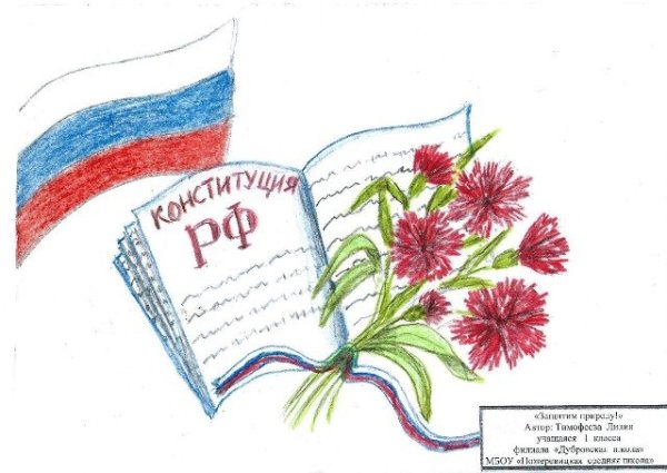 «День Конституции Российской Федерации»