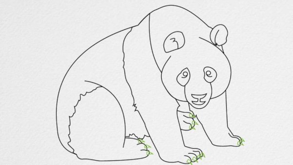 Идеи для срисовки белый медведь для детей легкие (90 фото)