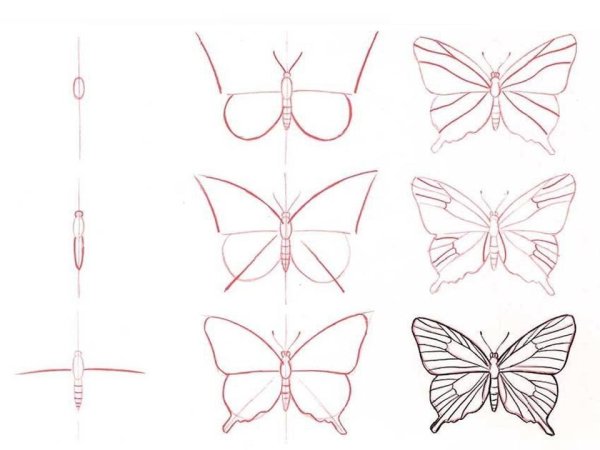 Идеи для срисовки бабочка легкие (90 фото)