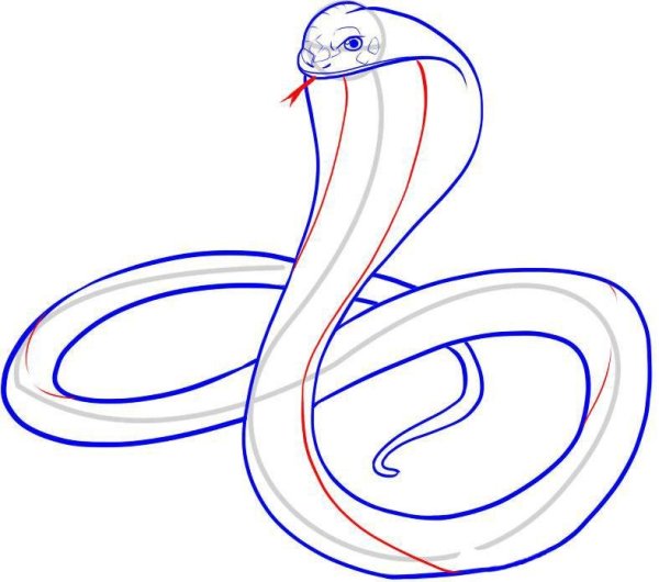 Идеи для срисовки змеи легкие (88 фото)