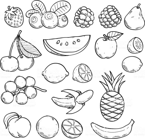 Идеи для срисовки овощей и фруктов легкие (90 фото)